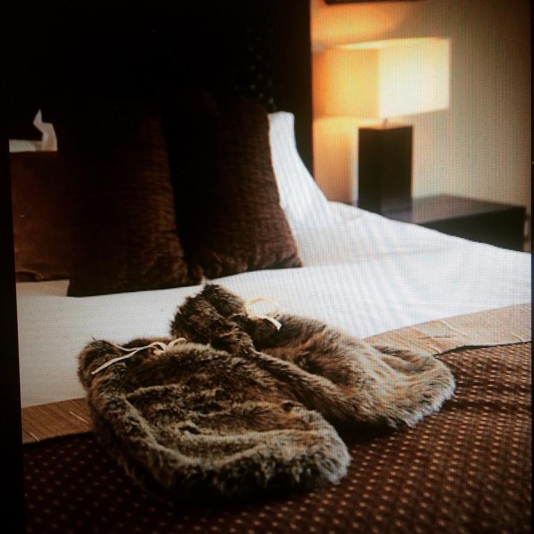 Home Lodge Golden Esterno foto